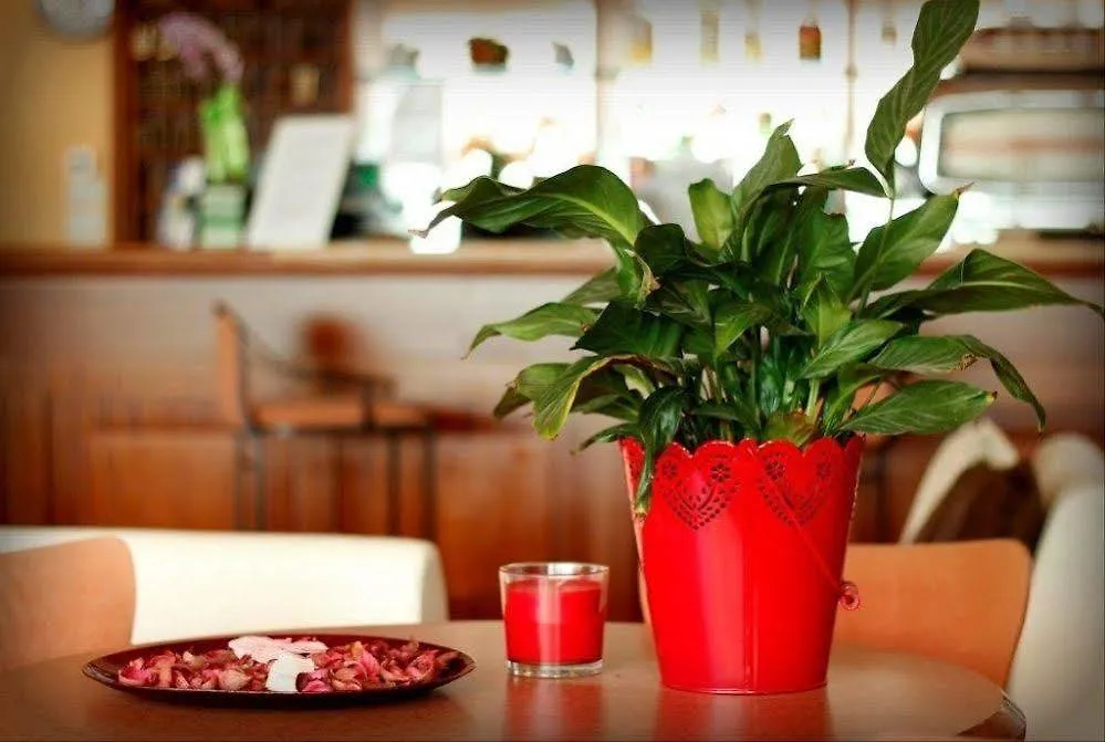 Hotel Jasmine Beach Rimini